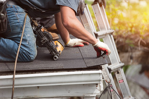 Best Metal Roofing Contractor  in Riverside, IA